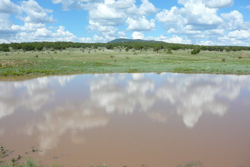 Property photo 18 - 7,320 Acres Offered in 5 Tracts